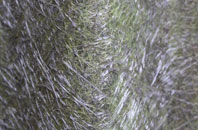 Bunbury fibreglass roof work