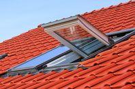 Bunbury roof window